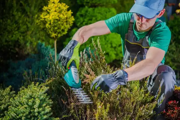 landscaping services Lyncourt